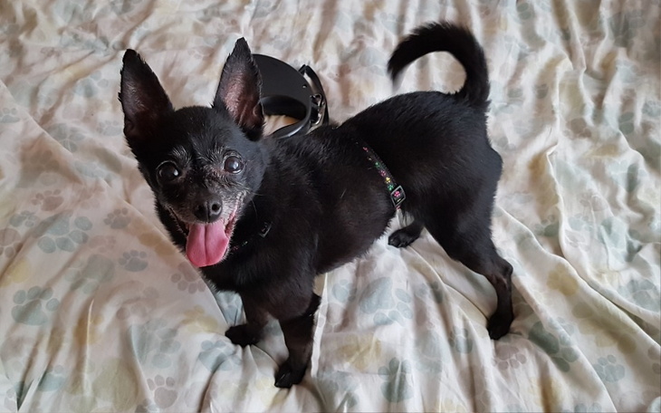 Zbiórka Ostatnia prosta do szczęścia - zdjęcie główne