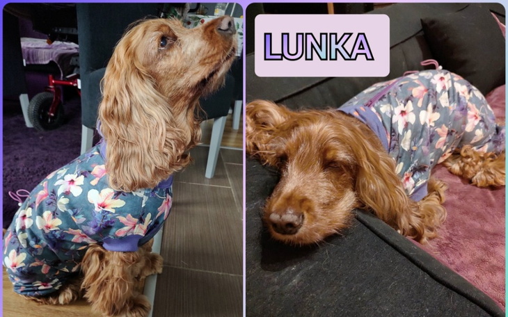 Zbiórka Odmień ŻYCIE LUNY NA LEPSZE - zdjęcie główne