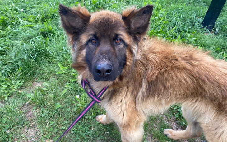 Zbiórka Zagłodzony Kapsiu - zdjęcie główne