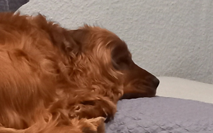 Zbiórka operacja Froda - zdjęcie główne