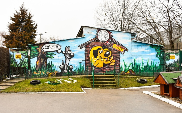 Zbiórka Na psy i kotki ze schroniska - zdjęcie główne