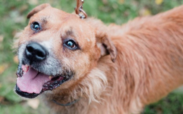 Zbiórka Pokochaj mnie .... - zdjęcie główne