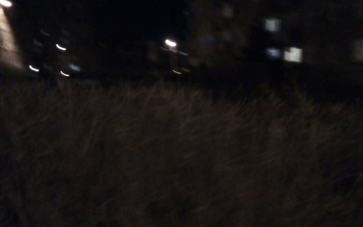 Nocny widok na zarośla i oświetlone budynki w tle.