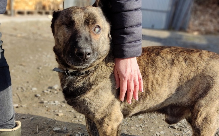 Zbiórka Dla Machowiaków zbiórka bazarkow - zdjęcie główne
