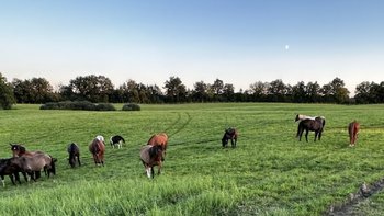 Zbiórka Kawałek dachu pod niebem - miniaturka zdjęcia