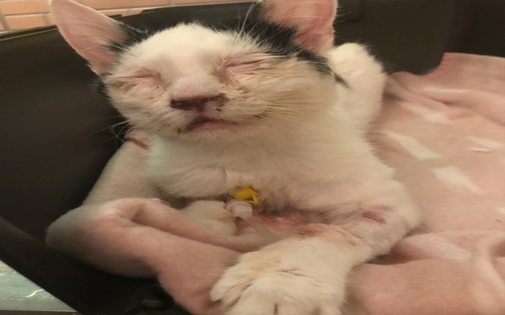 Zbiórka Dalsze leczenie Karolka - zdjęcie główne