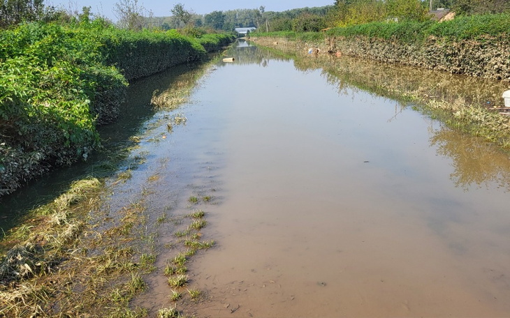 Zbiórka Koty z Nysy - zdjęcie główne