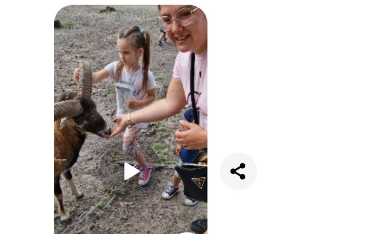 Zbiórka Zacząć jakoś żyć... - zdjęcie główne