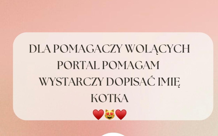 Zbiórka Zbiórka dla Bolesławieckie Koty - zdjęcie główne