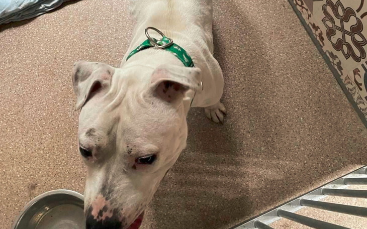 Zbiórka Megi przywiazana w lesie - zdjęcie główne