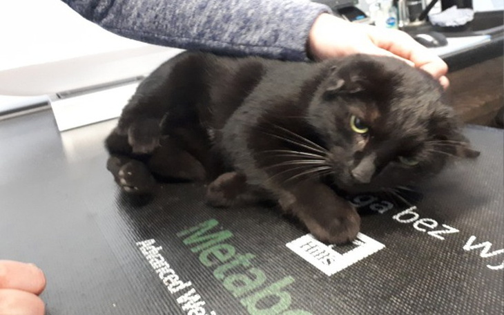 Zbiórka Kluska i wyrzuceni towarzysze - zdjęcie główne