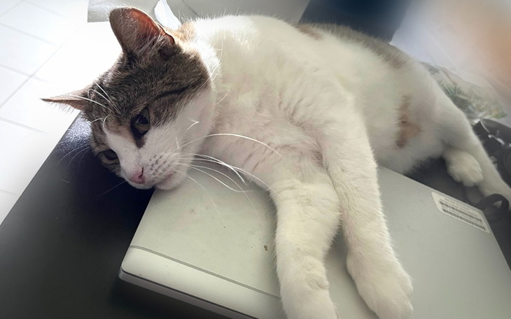 Zbiórka Jedno małe życie, kolejna walka. - zdjęcie główne