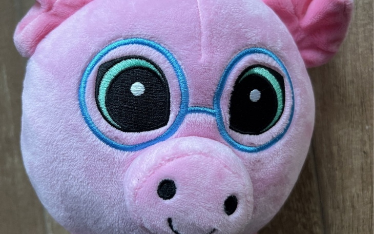 Zbiórka Szkołaa - zdjęcie główne