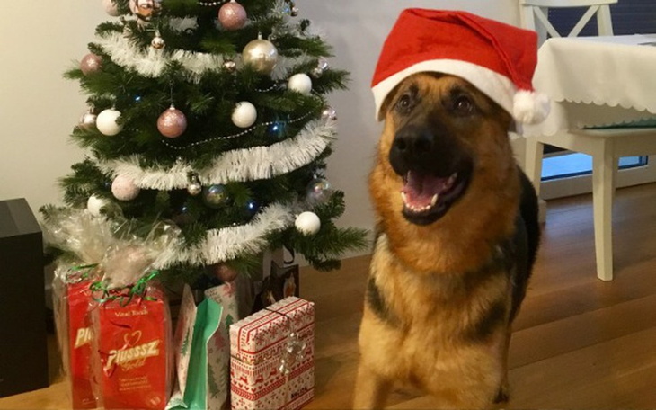 Zbiórka Pomóż mi żyć! - zdjęcie główne