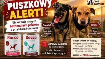 Zbiórka Aby brzuszki nie bolały - miniaturka zdjęcia