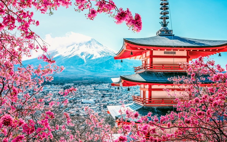 Widok na pagodę w Japonii, otoczoną kwitnącymi drzewami.