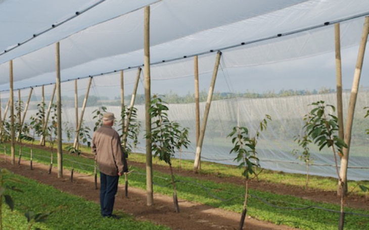 Zbiórka Na inwestycje w sady. - zdjęcie główne