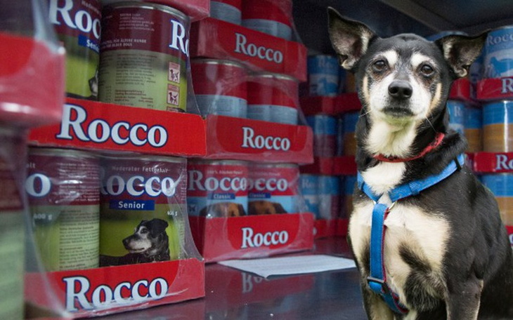 Zbiórka Puszka dla staruszka - kwiecień - zdjęcie główne