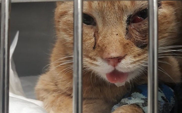 Zbiórka Czy życie ma cenę? - zdjęcie główne