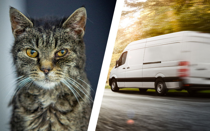 Zbiórka Fundacyjny bus - zdjęcie główne