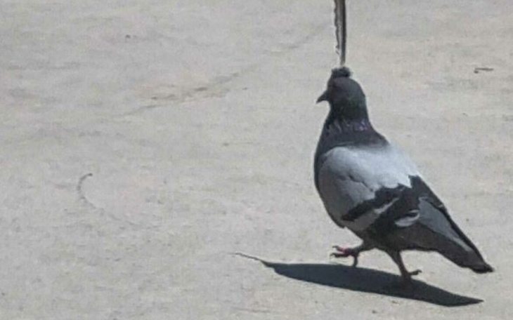 Zbiórka Na bilety i jedzenie - zdjęcie główne