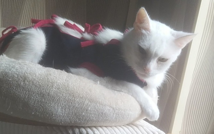 Zbiórka Mam raka, walczę o swoje życie.. - zdjęcie główne