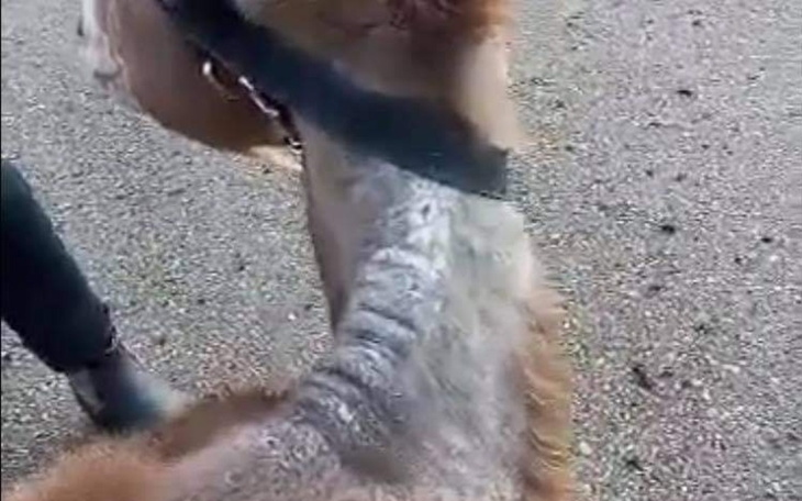 Zbiórka Nadszedł czas by godnie żyć - zdjęcie główne