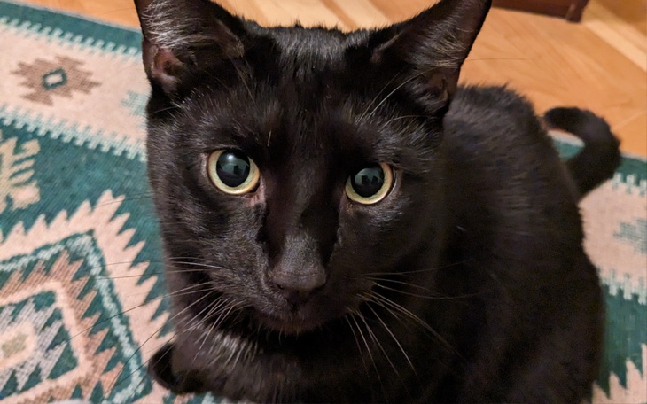 Zbiórka Na dalszą diagnostykę i leczenie - zdjęcie główne