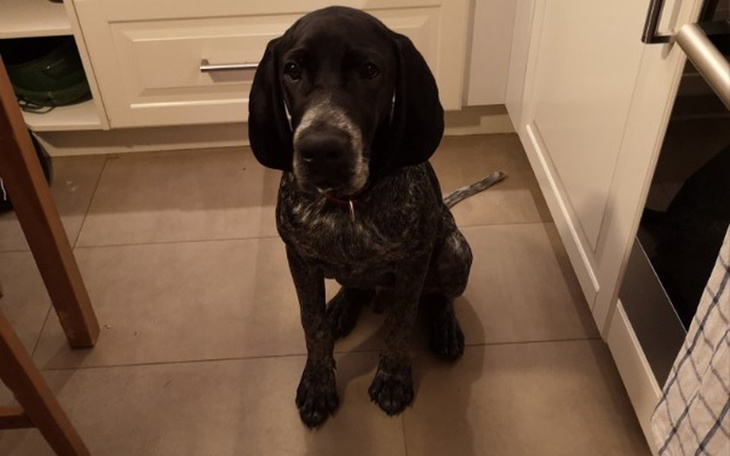 Zbiórka Serce Ragnara - zdjęcie główne