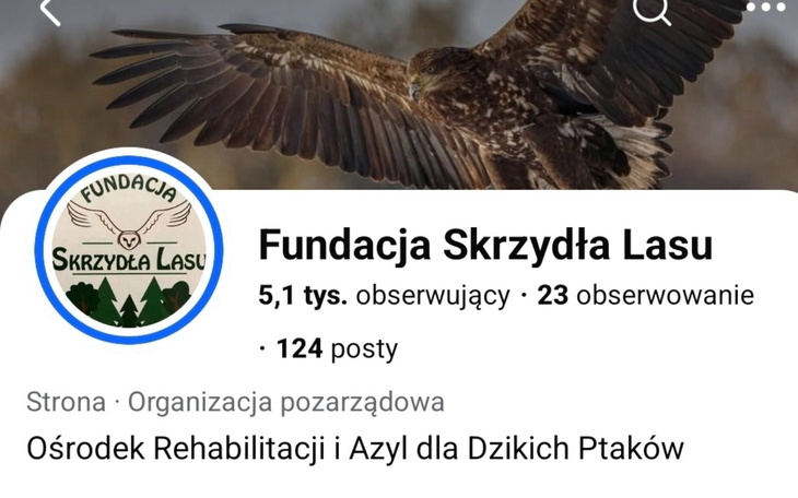 Logo fundacji zajmującej się rehabilitacją dzikich ptaków.