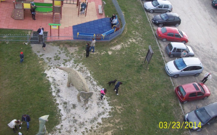 Zbiórka weegiel - zdjęcie główne