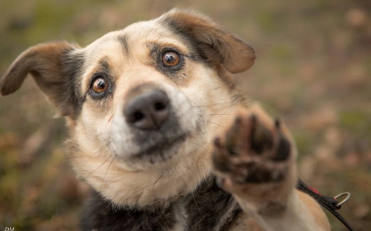 Zbiórka Godne życie dla Luiego - zdjęcie główne