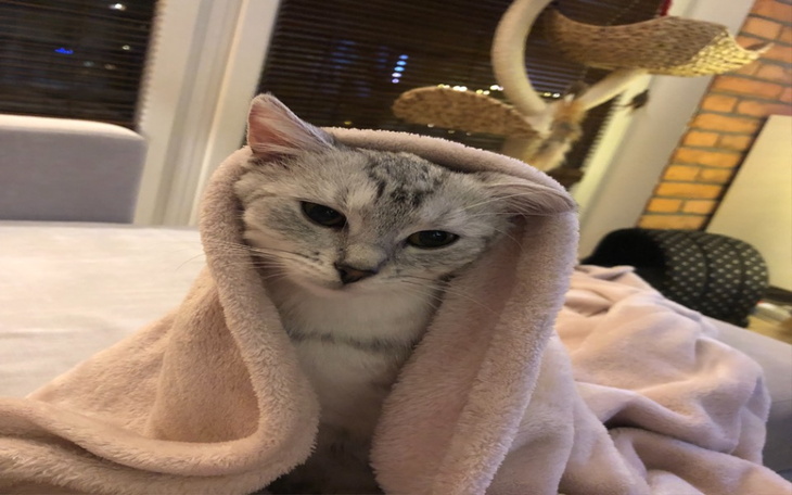 Zbiórka Siostra Rurka walczy o życie - zdjęcie główne