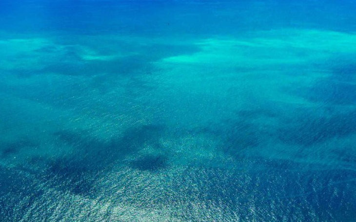 Zbiórka Zbiórka na samochód audi - zdjęcie główne