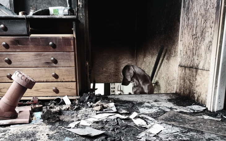 Zbiórka Aby dom stał się znów DOMEM - zdjęcie główne