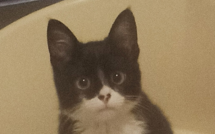 Zbiórka Na odcięcie się od starego życia - zdjęcie główne