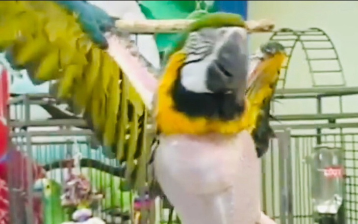 Zbiórka Zbiera na leczenie bechawioralne - zdjęcie główne