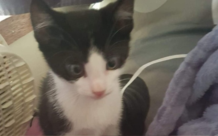 Zbiórka Marii - zdjęcie główne