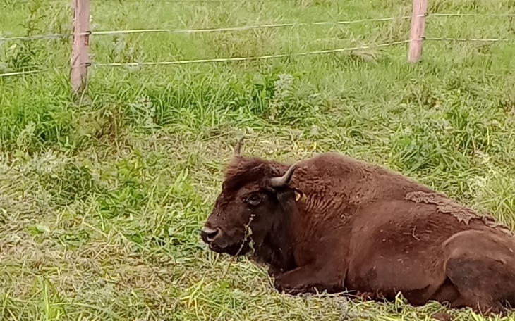 Zbiórka Spłata długów, komorników - zdjęcie główne