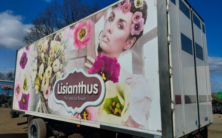 Reklama kwiatu Lisianthus na ciężarówce, kolorowe kwiaty i portret kobiety.