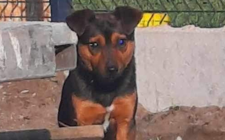 Zbiórka My nie możemy czekać - zdjęcie główne