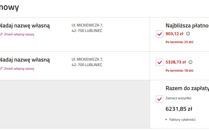 Zrzut ekranu z płatności, z danymi finansowymi.