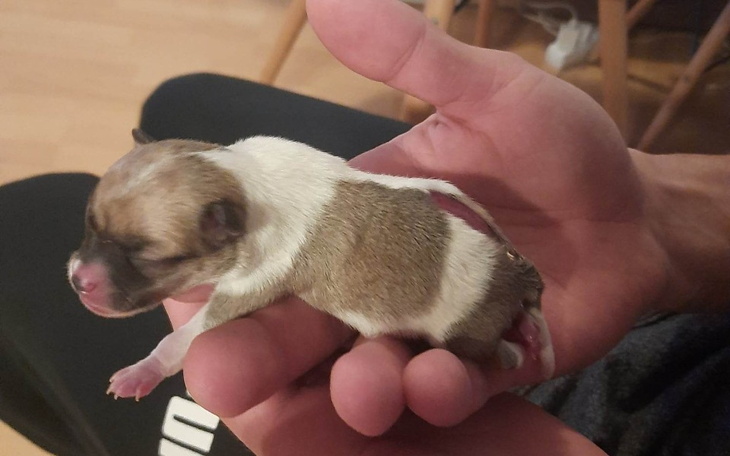 Zbiórka Pomoc dla Mikusiaa - zdjęcie główne