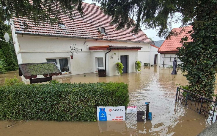 Zbiórka Zbiórka na powrót do normalnosci - zdjęcie główne