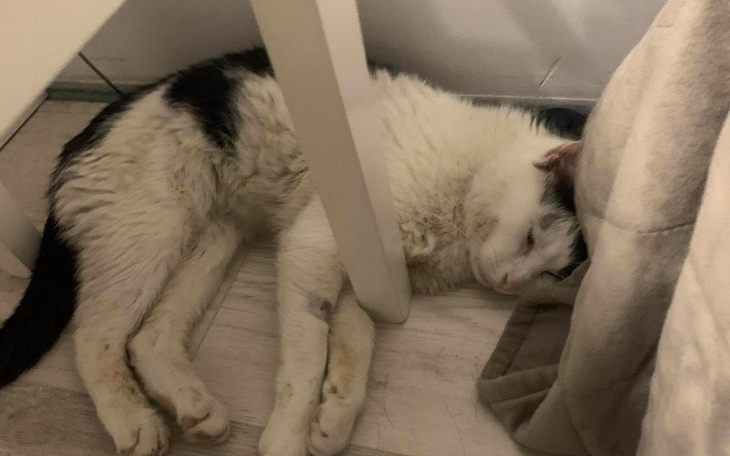 Zbiórka Zachorowałem-potrzebna pomoc - zdjęcie główne