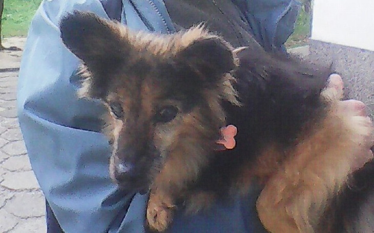 Zbiórka Na pilną operację Kamy - zdjęcie główne