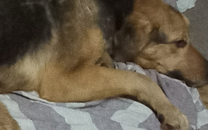 Zbiórka Operacja p - zdjęcie główne