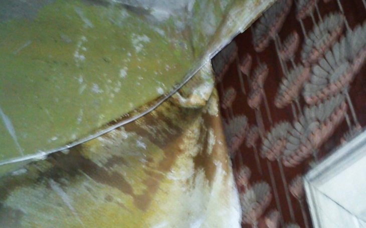 Zbiórka Na godne życie w mieszkaniu - zdjęcie główne