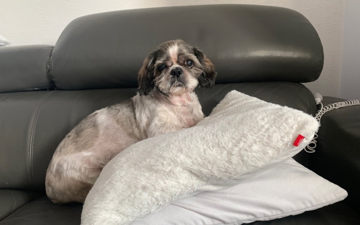 Zbiórka Waleczny Iwanek walczy z choroba - zdjęcie główne