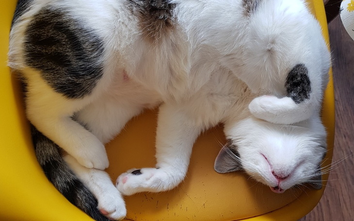 Zbiórka Dom Dziecka Rudnik - zdjęcie główne